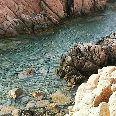 Live Sea And Nature * Costa Paradiso